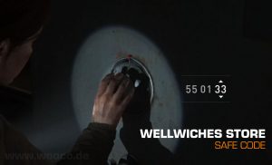 Wellwishes Store Safe Code