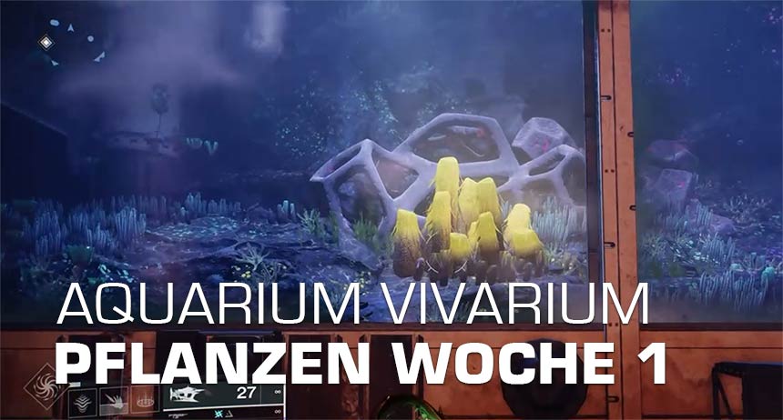 Aquarium Vivarium Triumph Guide